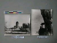 藏品(西寺塔（雲南）)的圖片